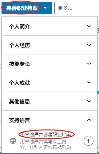 多语言档案 让世界职场看懂你的才华